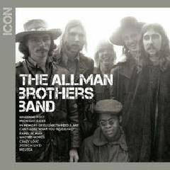 The Allman Brothers Band : Icon